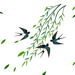 春天燕子飞柳插画设计素材