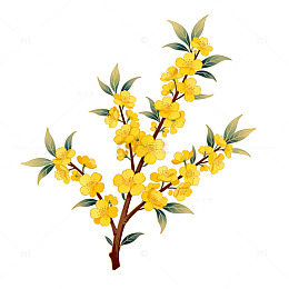 手绘黄花植物插画素材