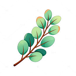 简约风树枝插画设计元素