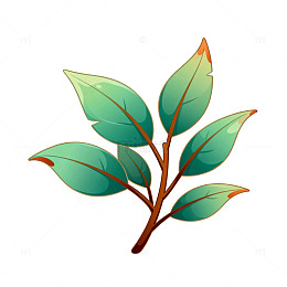 插画风格绿叶植物设计素材