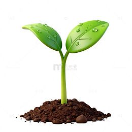 清新植物生长插画