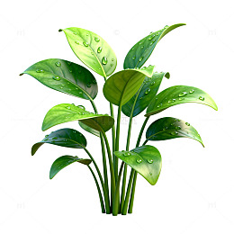 清新绿植水珠装饰图案