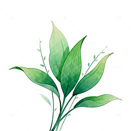 水彩绿叶植物插画