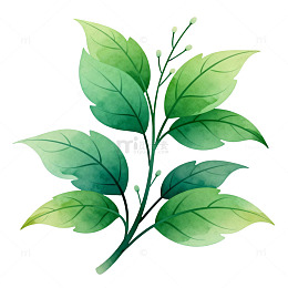 水彩绿植插画素材