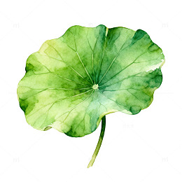 水彩荷叶图案装饰设计元素