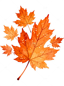 水彩枫叶秋日装饰画