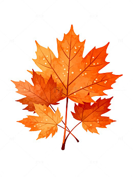 秋意枫叶插画设计素材