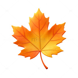 枫叶秋意枫树叶子秋天素材