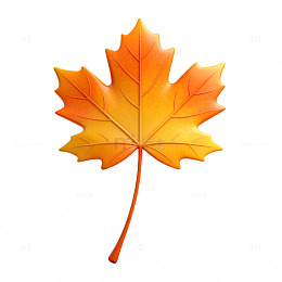 秋叶风格枫叶插图设计素材
