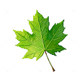 像素风绿叶图标设计素材