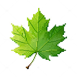 像素枫叶插画设计素材