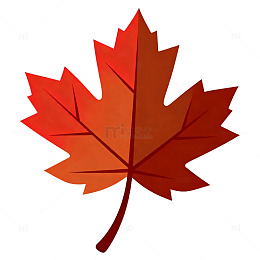 枫叶秋天插画素材