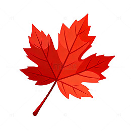 枫叶插画秋季元素矢量素材