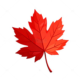 枫叶矢量图
