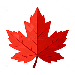 秋枫红叶卡通插画