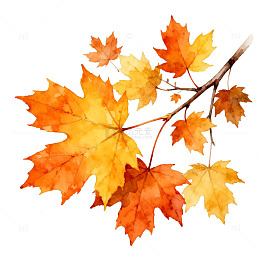 水彩枫叶秋天装饰画