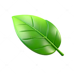 绿色叶子矢量设计素材