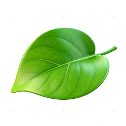 绿色叶子矢量素材