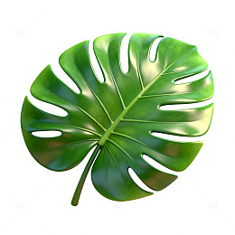 绿意盎然植物叶插画