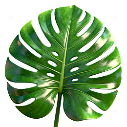 绿色热带叶素材图案