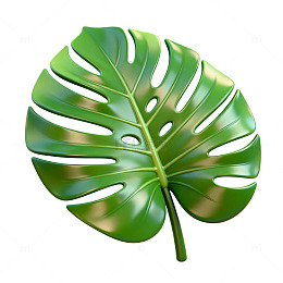 绿意盎然热带叶片插画素材