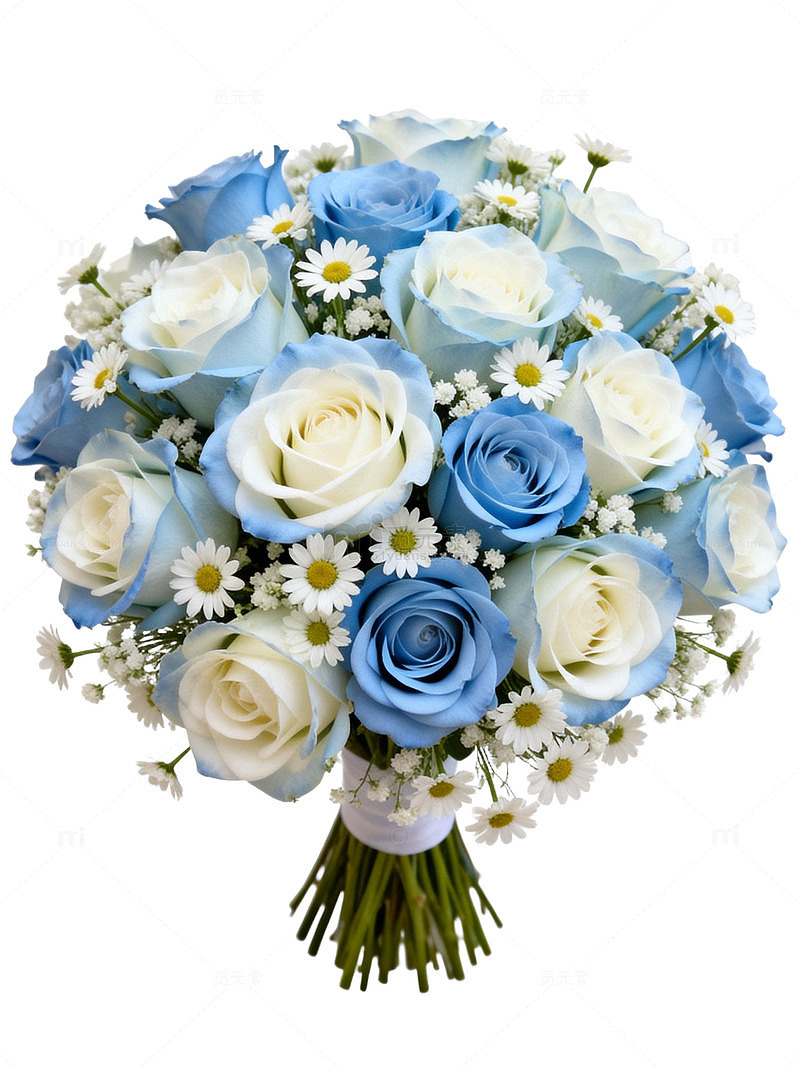 蓝白鲜花花束写真