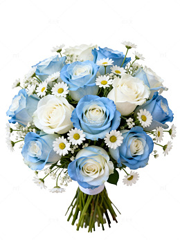 蓝白玫瑰花束鲜花
