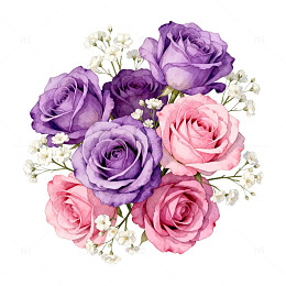 水彩玫瑰花束插画素材