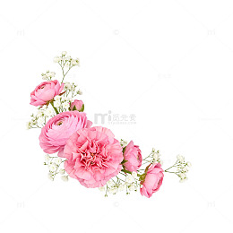 粉色花卉装饰图案设计素材