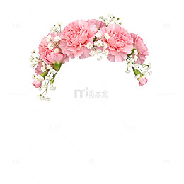 花卉装饰圆形花环设计素材