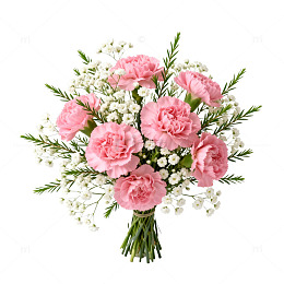 鲜花康乃馨花束