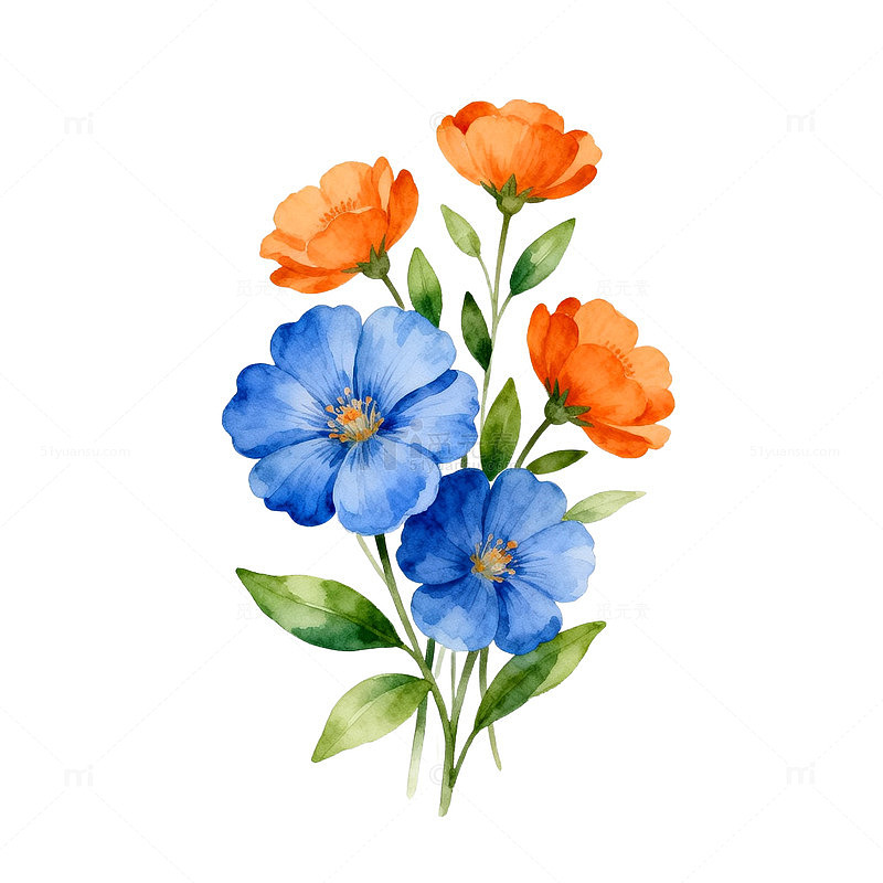 水彩花卉插画设计元素