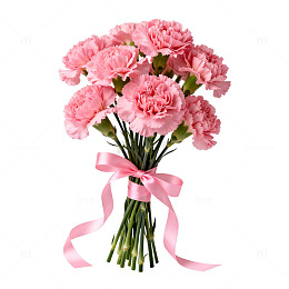 粉色康乃馨花束