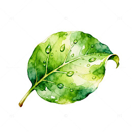 水彩绿叶露珠装饰画