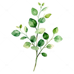水彩绿意植物插画设计元素