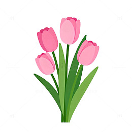 简约郁金香插画矢量图
