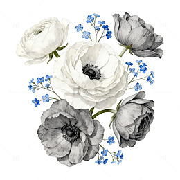 黑白花卉水彩插画