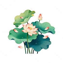 插画风荷花荷叶设计素材