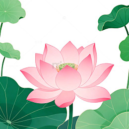 插画风荷花荷叶矢量设计素材