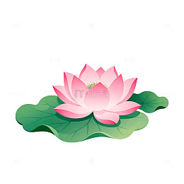 卡通荷花荷叶插画素材