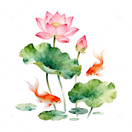 水彩荷花金鱼装饰画