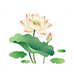 插画风格荷花荷叶设计素材