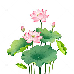 卡通荷花图案插画设计素材