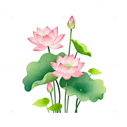 荷花卡通插画素材