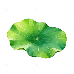 荷叶图案插画设计素材
