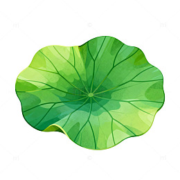 荷叶插画设计素材