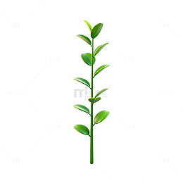 绿色植物插画设计元素