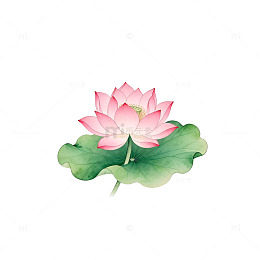 水墨荷花淡雅图案