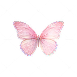 粉色蝴蝶图案设计素材