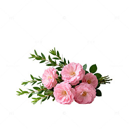 简约风粉色花朵桌面装饰